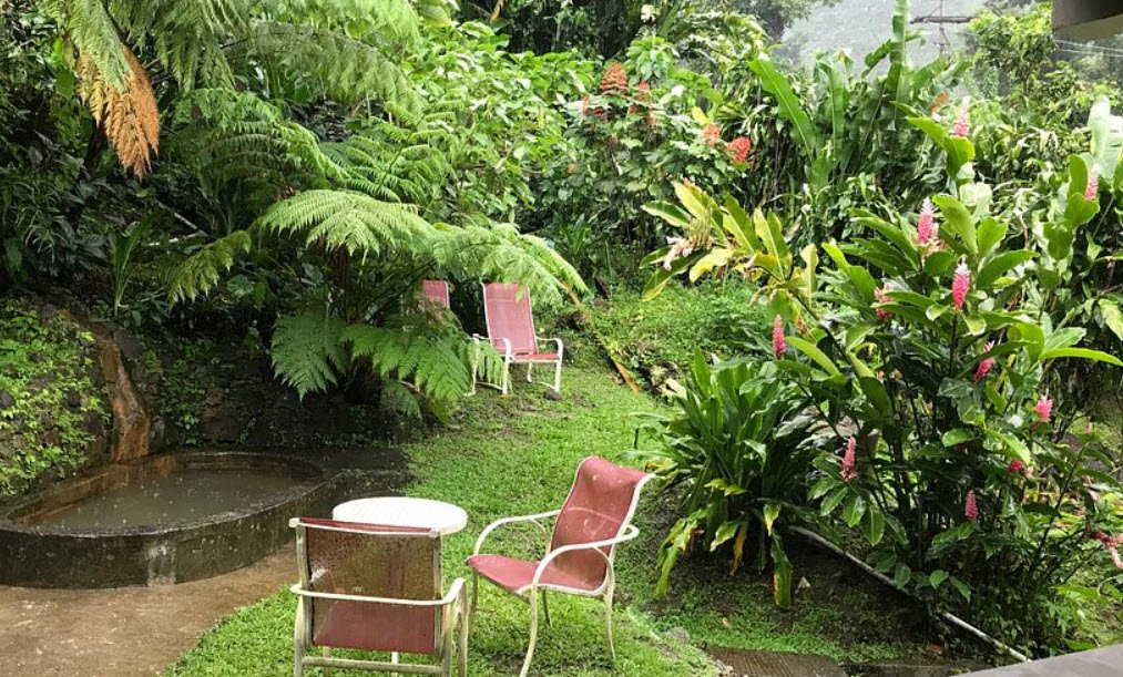 Papillote Tropical Gardens, Near Wotten Waven, Dominica